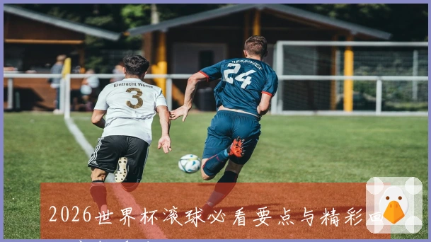 2026世界杯滚球必看要点与精彩回顾完整盘点