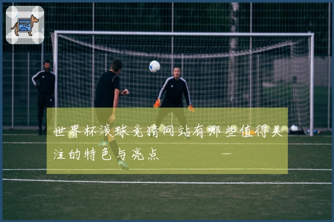 世界杯滚球竞猜网站有哪些值得关注的特色与亮点