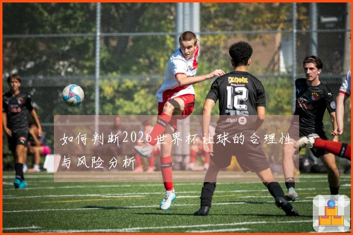 如何判断2026世界杯让球的合理性与风险分析