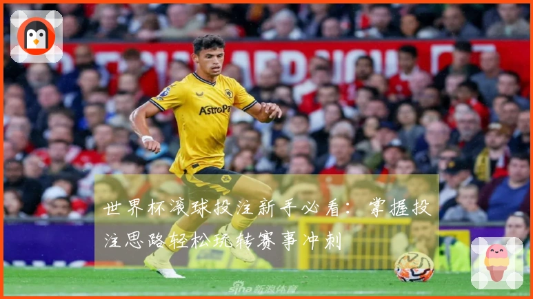 世界杯滚球投注新手必看：掌握投注思路轻松玩转赛事冲刺