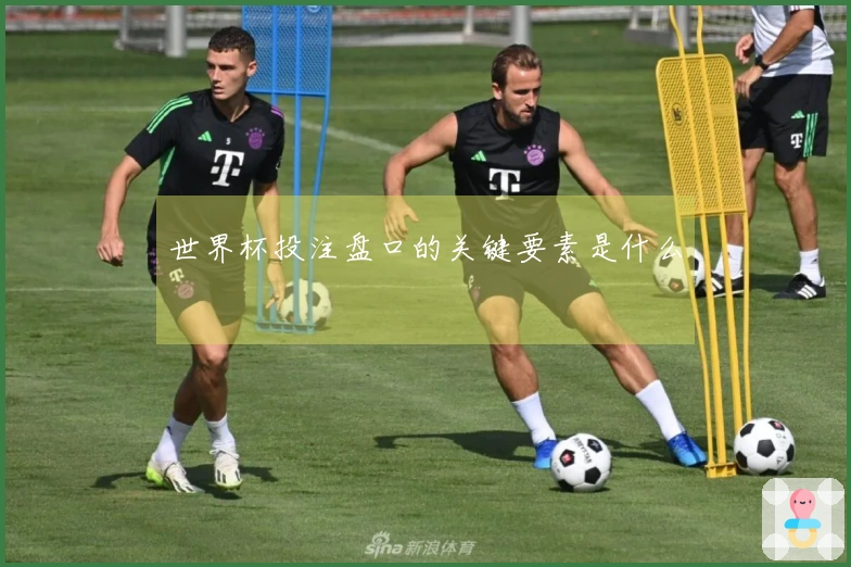 世界杯投注盘口的关键要素是什么
