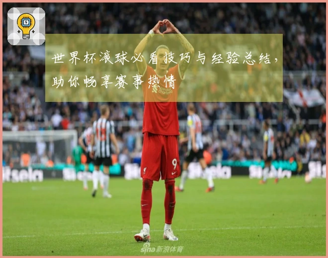 世界杯滚球必看技巧与经验总结，助你畅享赛事热情