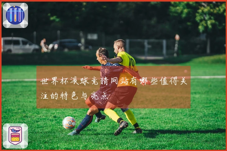 世界杯滚球竞猜网站有哪些值得关注的特色与亮点