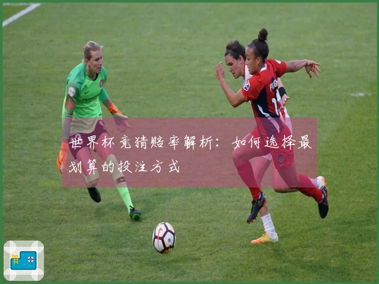 世界杯竞猜赔率解析：如何选择最划算的投注方式