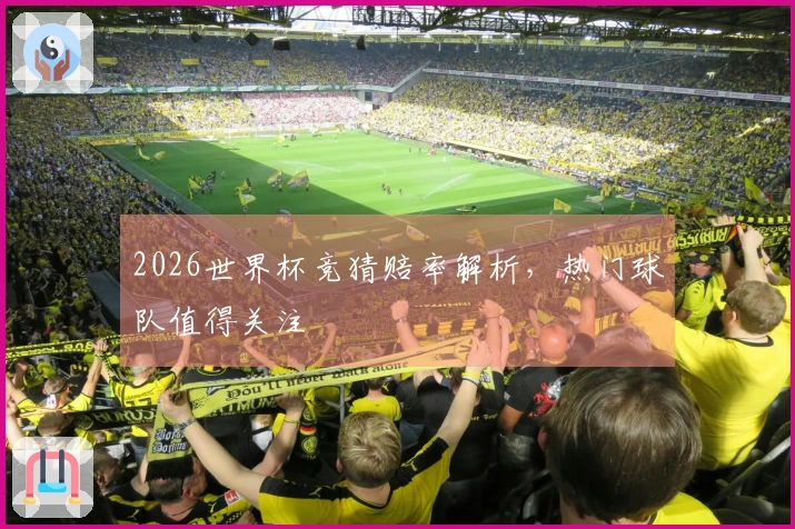 2026世界杯竞猜赔率解析，热门球队值得关注